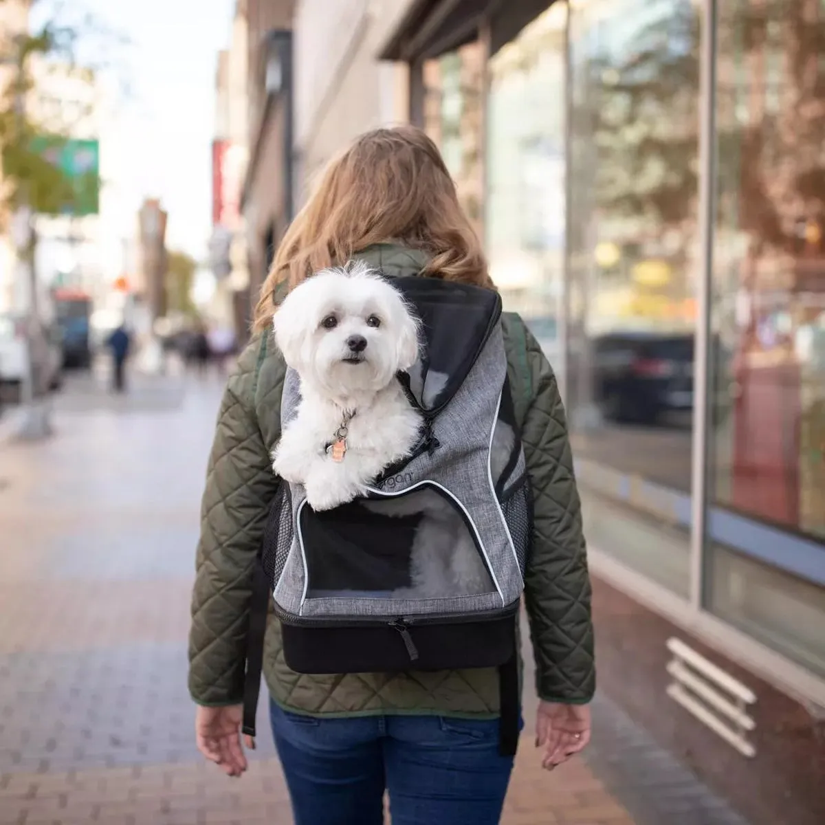 Bergan Backpack Pet Carrier
