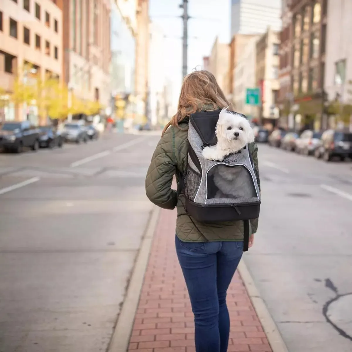 Bergan Backpack Pet Carrier