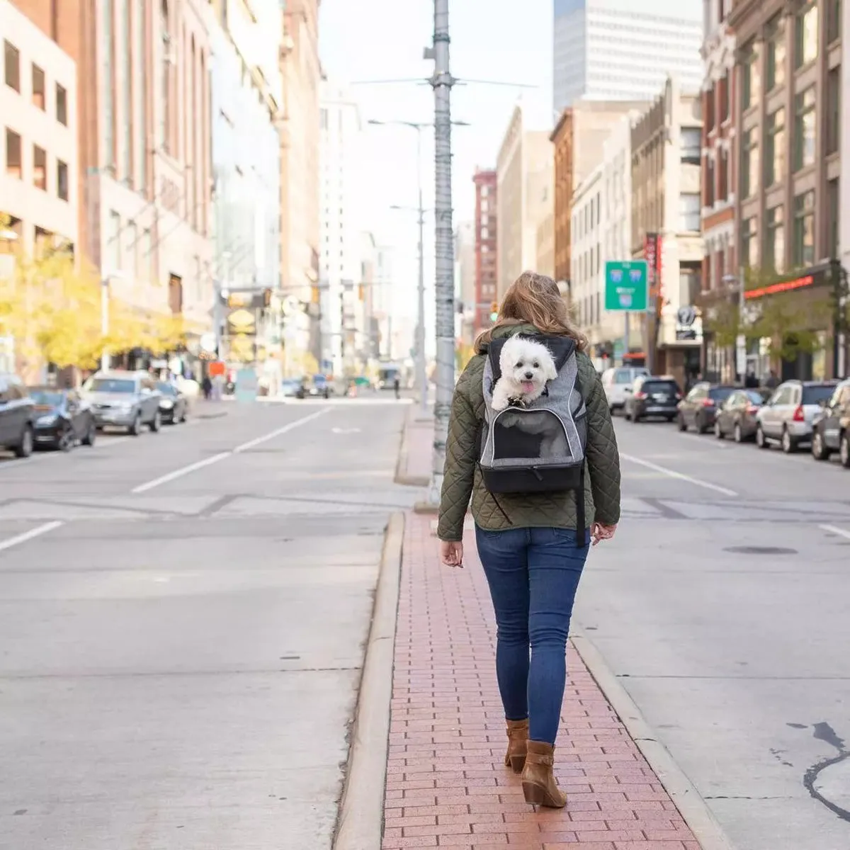 Bergan Backpack Pet Carrier