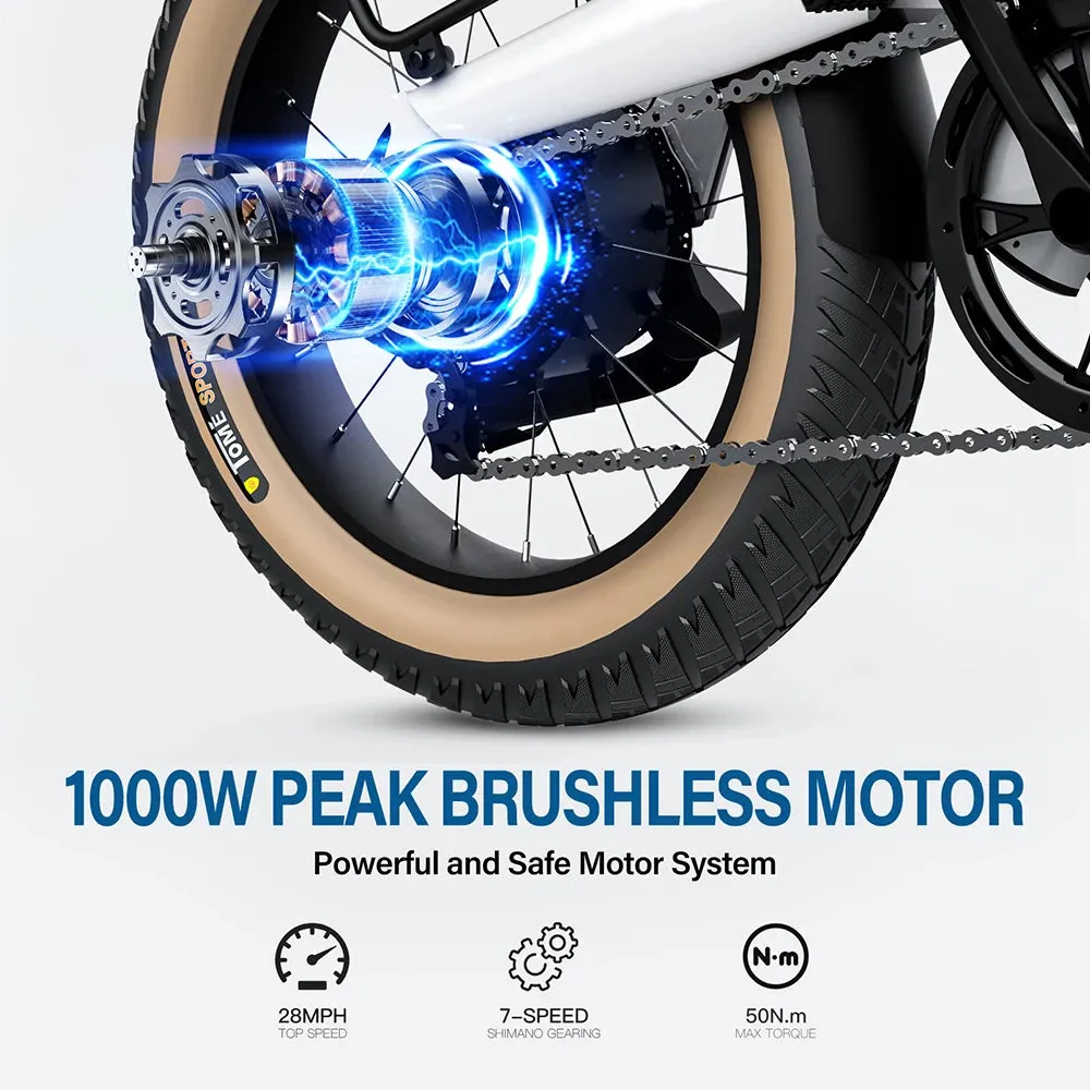 Coswheel M20 Adventure Electric Bike