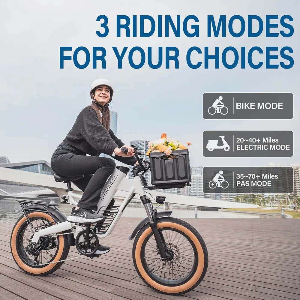 Coswheel M20 Adventure Electric Bike