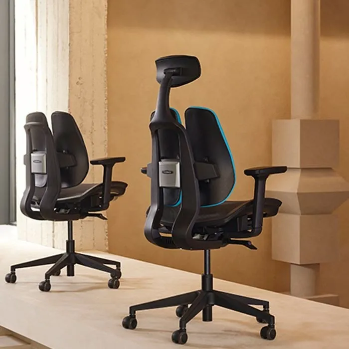 D2 Dual Comfort Chair
